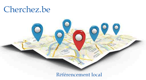 Agence web seo Belgique